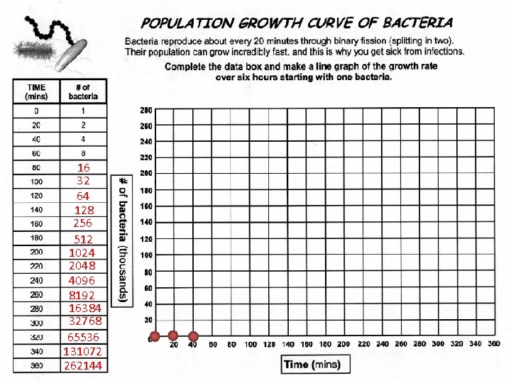 16 32 64 128 256 512 1024 2048 4096 8192 16384 32768 65536 131072