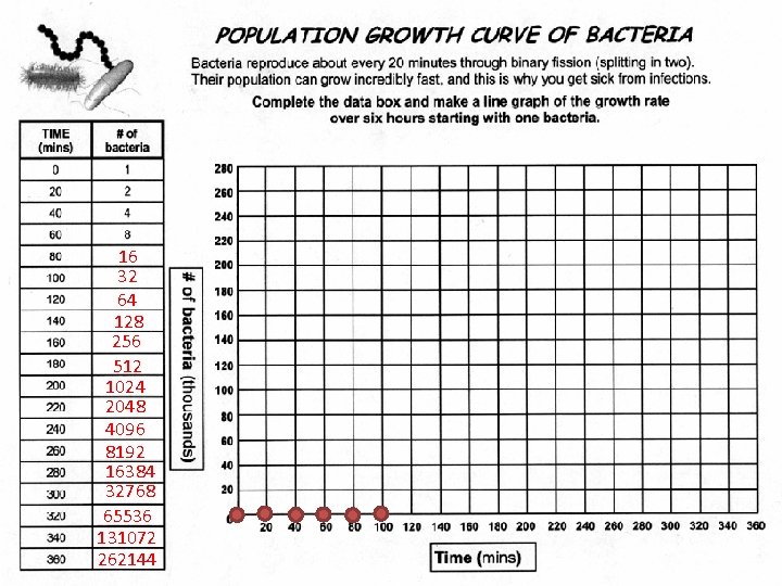 16 32 64 128 256 512 1024 2048 4096 8192 16384 32768 65536 131072