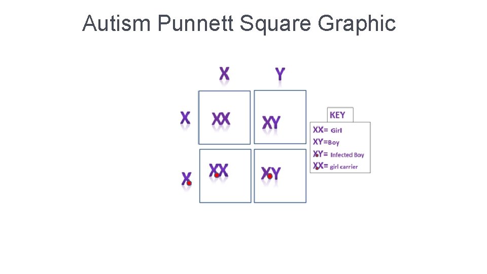 Autism Punnett Square Graphic 