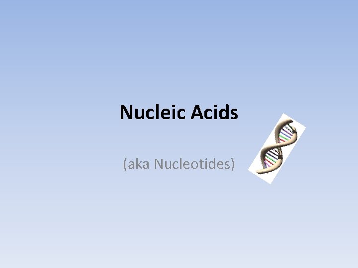 Nucleic Acids (aka Nucleotides) 