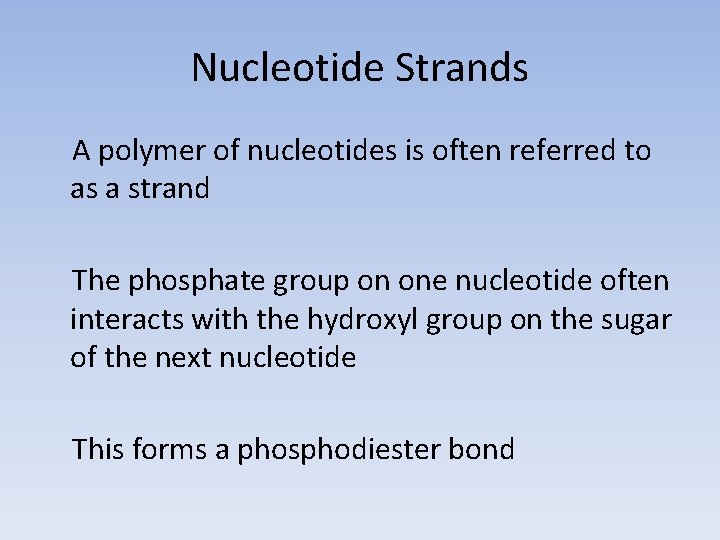 Nucleotide Strands A polymer of nucleotides is often referred to as a strand The