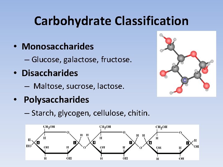 Carbohydrate Classification • Monosaccharides – Glucose, galactose, fructose. • Disaccharides – Maltose, sucrose, lactose.