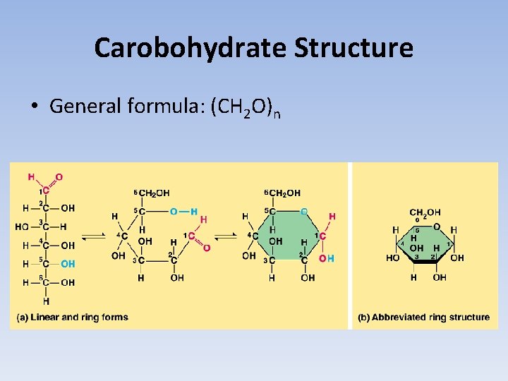 Carobohydrate Structure • General formula: (CH 2 O)n 