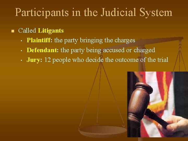 Participants in the Judicial System n Called Litigants • Plaintiff: the party bringing the