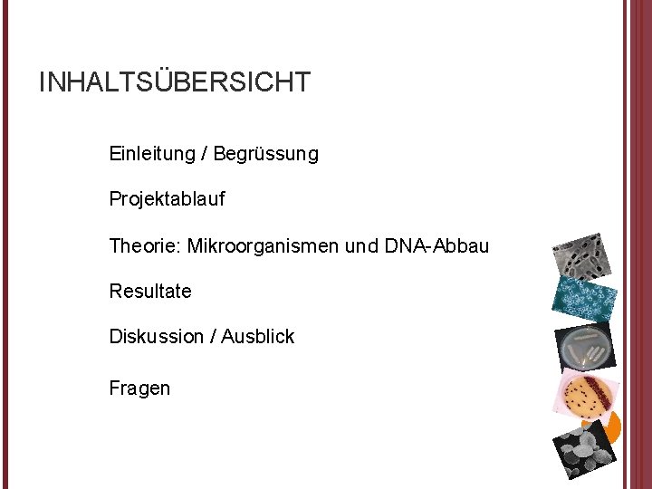 INHALTSÜBERSICHT Einleitung / Begrüssung Projektablauf Theorie: Mikroorganismen und DNA-Abbau Resultate Diskussion / Ausblick Fragen