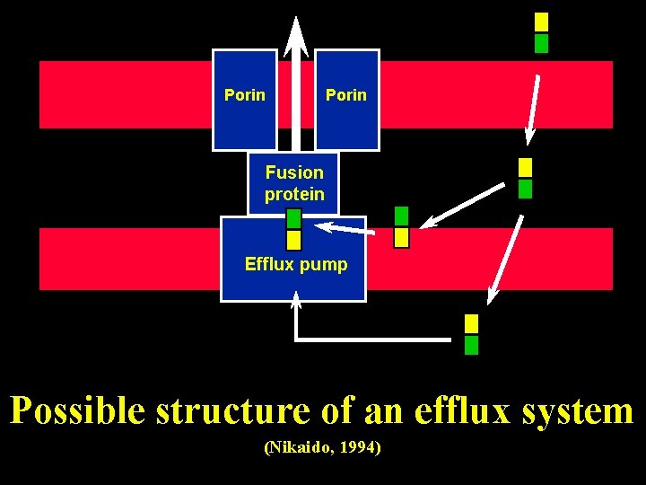 Porin Fusion protein Efflux pump Possible structure of an efflux system (Nikaido, 1994) 