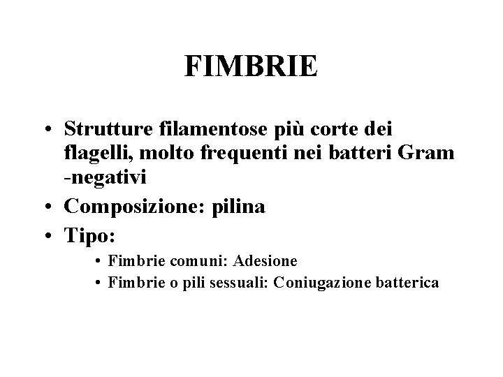 FIMBRIE • Strutture filamentose più corte dei flagelli, molto frequenti nei batteri Gram -negativi