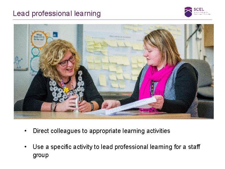 Lead professional learning • Direct colleagues to appropriate learning activities • Use a specific