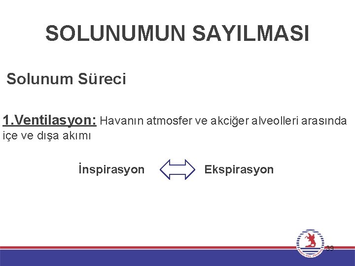 SOLUNUMUN SAYILMASI Solunum Süreci 1. Ventilasyon: Havanın atmosfer ve akciğer alveolleri arasında içe ve
