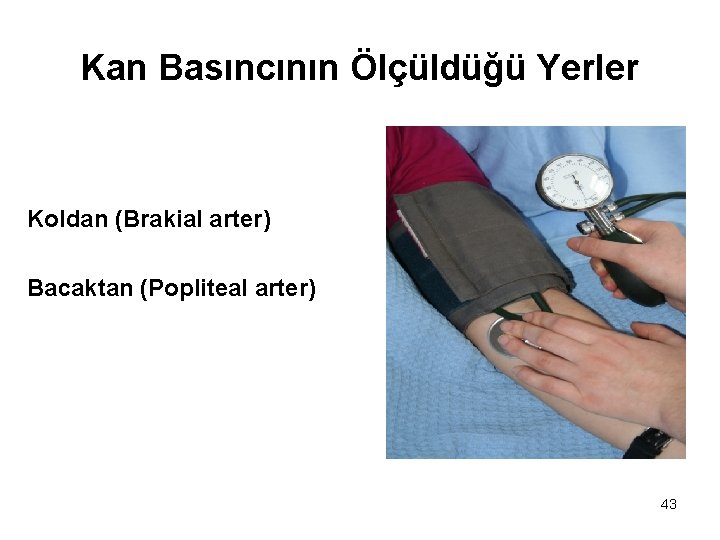 Kan Basıncının Ölçüldüğü Yerler Koldan (Brakial arter) Bacaktan (Popliteal arter) 43 