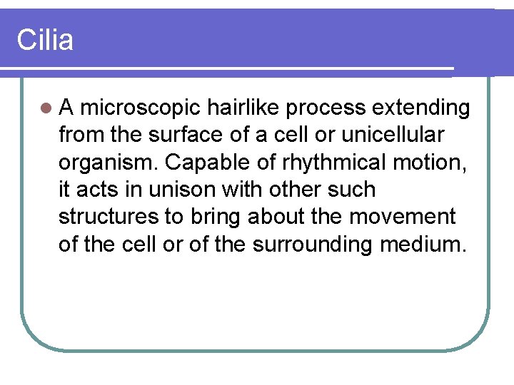 Cilia l. A microscopic hairlike process extending from the surface of a cell or