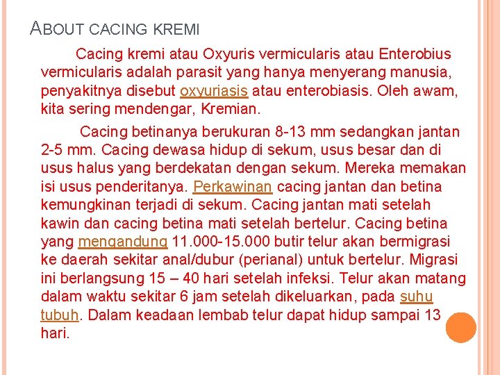 ABOUT CACING KREMI Cacing kremi atau Oxyuris vermicularis atau Enterobius vermicularis adalah parasit yang