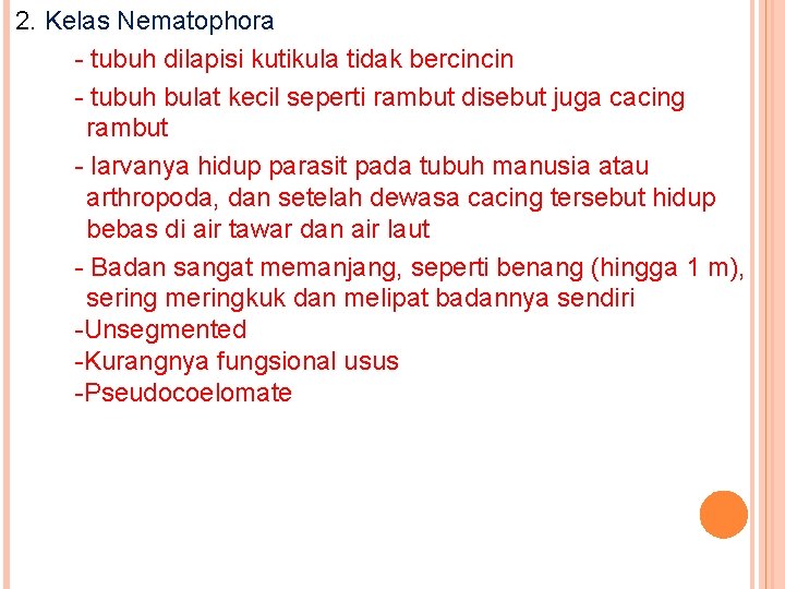2. Kelas Nematophora - tubuh dilapisi kutikula tidak bercincin - tubuh bulat kecil seperti