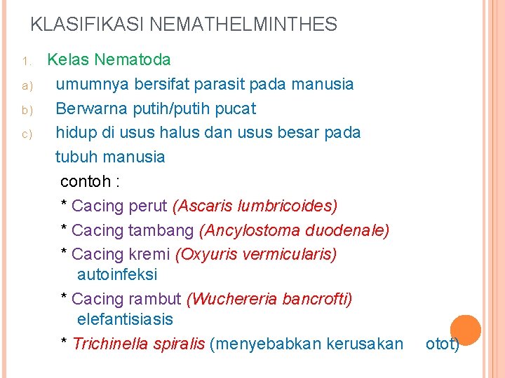 KLASIFIKASI NEMATHELMINTHES 1. a) b) c) Kelas Nematoda umumnya bersifat parasit pada manusia Berwarna