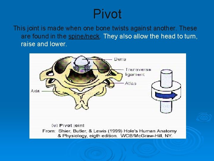 Pivot This joint is made when one bone twists against another. These are found Pivot This joint is made when one bone twists against another. These are found