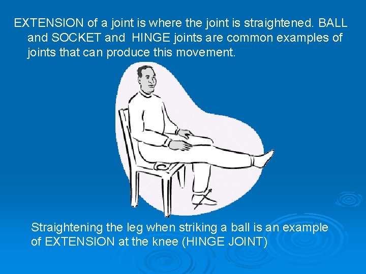 EXTENSION of a joint is where the joint is straightened. BALL and SOCKET and EXTENSION of a joint is where the joint is straightened. BALL and SOCKET and