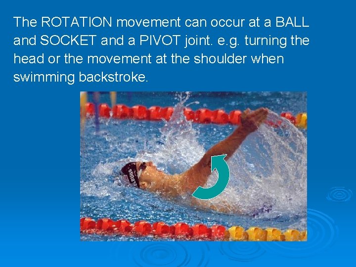 The ROTATION movement can occur at a BALL and SOCKET and a PIVOT joint. The ROTATION movement can occur at a BALL and SOCKET and a PIVOT joint.