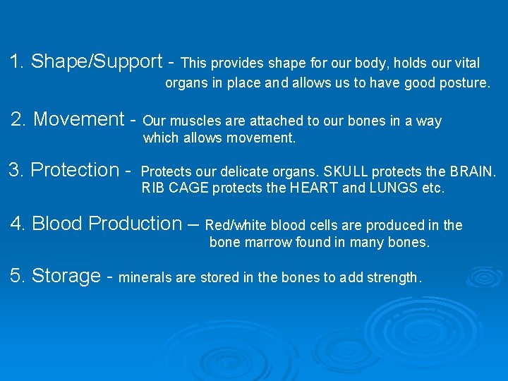1. Shape/Support - This provides shape for our body, holds our vital organs in 1. Shape/Support - This provides shape for our body, holds our vital organs in