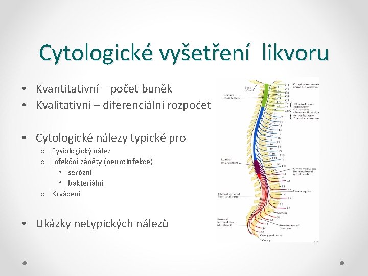 Cytologické vyšetření likvoru • Kvantitativní – počet buněk • Kvalitativní – diferenciální rozpočet •