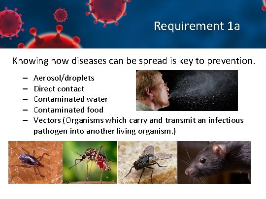 Requirement 1 a Knowing how diseases can be spread is key to prevention. –