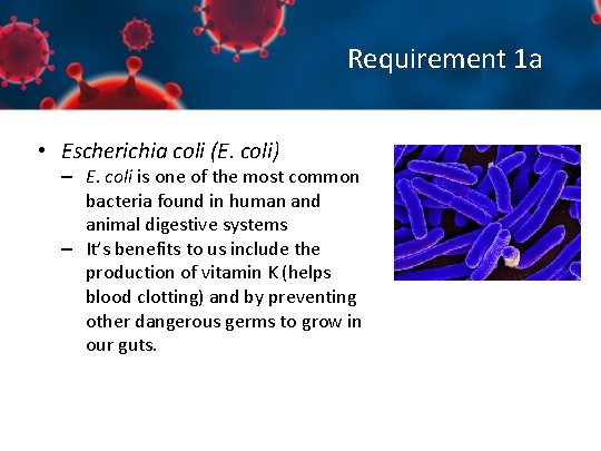 Requirement 1 a • Escherichia coli (E. coli) – E. coli is one of