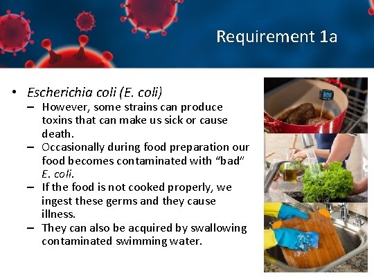 Requirement 1 a • Escherichia coli (E. coli) – However, some strains can produce