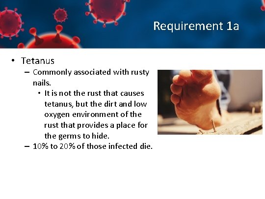 Requirement 1 a • Tetanus – Commonly associated with rusty nails. • It is