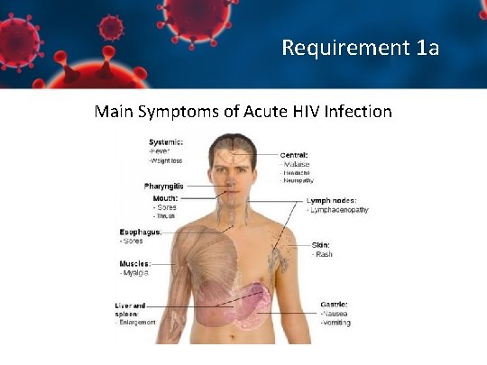 Requirement 1 a Main Symptoms of Acute HIV Infection 