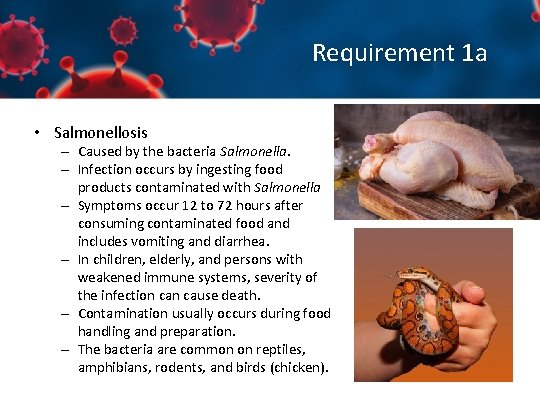 Requirement 1 a • Salmonellosis – Caused by the bacteria Salmonella. – Infection occurs