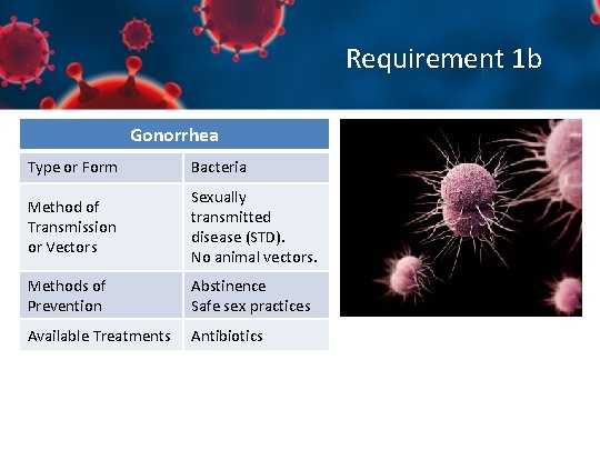 Requirement 1 b Gonorrhea Type or Form Bacteria Method of Transmission or Vectors Sexually