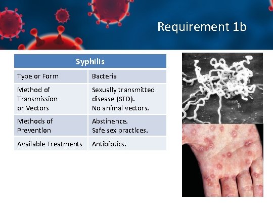 Requirement 1 b Syphilis Type or Form Bacteria Method of Transmission or Vectors Sexually