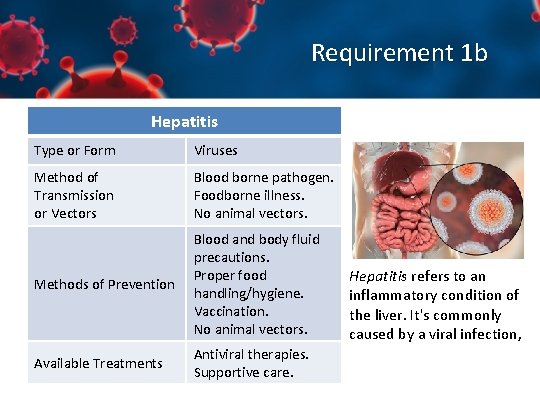 Requirement 1 b Hepatitis Type or Form Viruses Method of Transmission or Vectors Blood