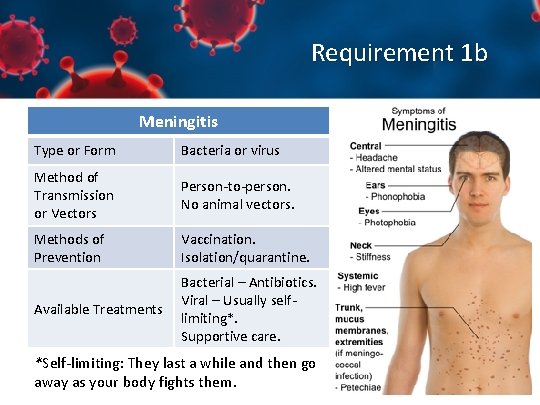 Requirement 1 b Meningitis Type or Form Bacteria or virus Method of Transmission or