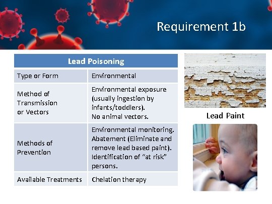 Requirement 1 b Lead Poisoning Type or Form Environmental Method of Transmission or Vectors