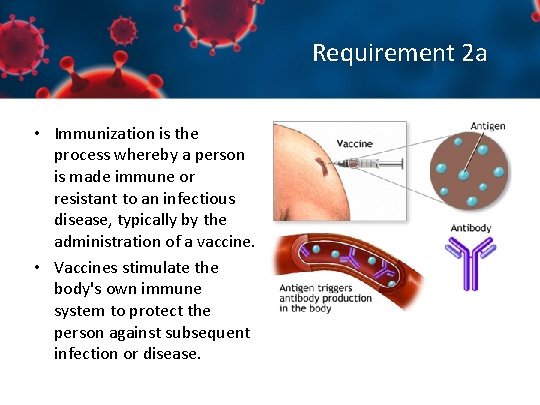 Requirement 2 a • Immunization is the process whereby a person is made immune