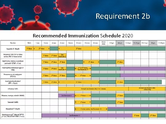 Requirement 2 b Recommended Immunization Schedule 2020 