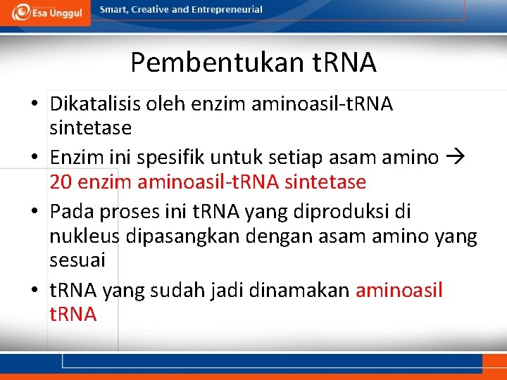 Pembentukan t. RNA • Dikatalisis oleh enzim aminoasil-t. RNA sintetase • Enzim ini spesifik