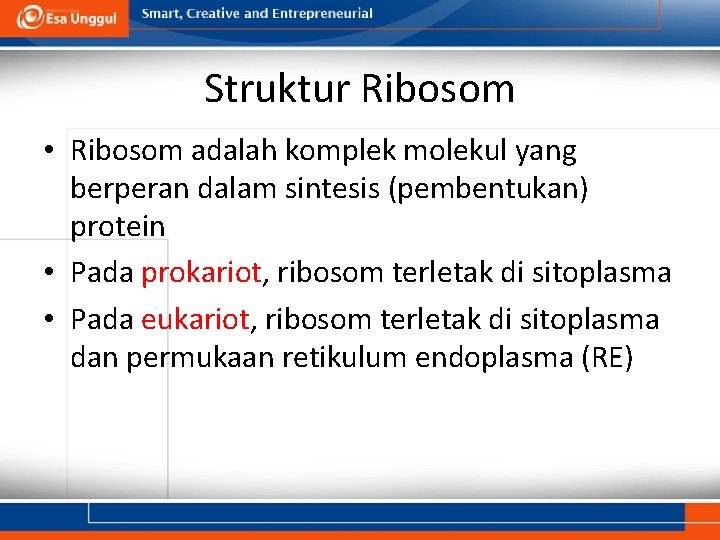 Struktur Ribosom • Ribosom adalah komplek molekul yang berperan dalam sintesis (pembentukan) protein •