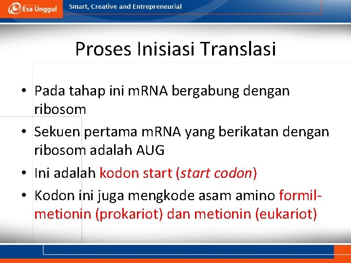Proses Inisiasi Translasi • Pada tahap ini m. RNA bergabung dengan ribosom • Sekuen
