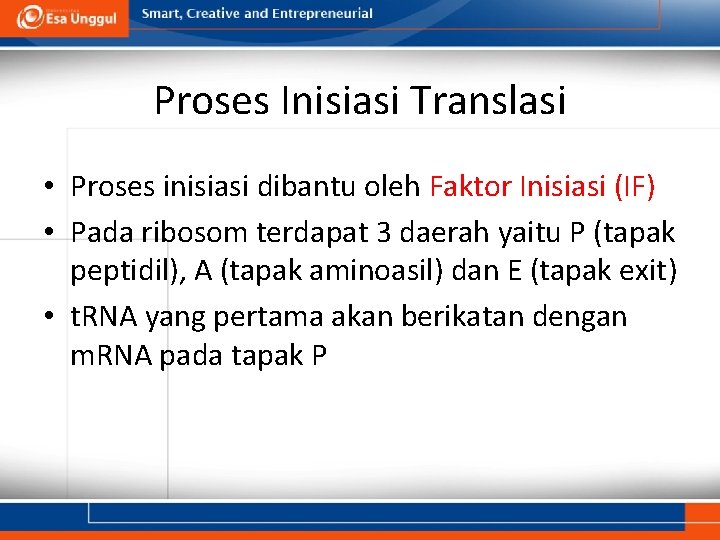 Proses Inisiasi Translasi • Proses inisiasi dibantu oleh Faktor Inisiasi (IF) • Pada ribosom