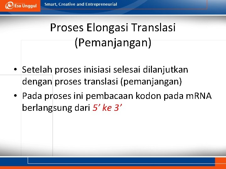 Proses Elongasi Translasi (Pemanjangan) • Setelah proses inisiasi selesai dilanjutkan dengan proses translasi (pemanjangan)