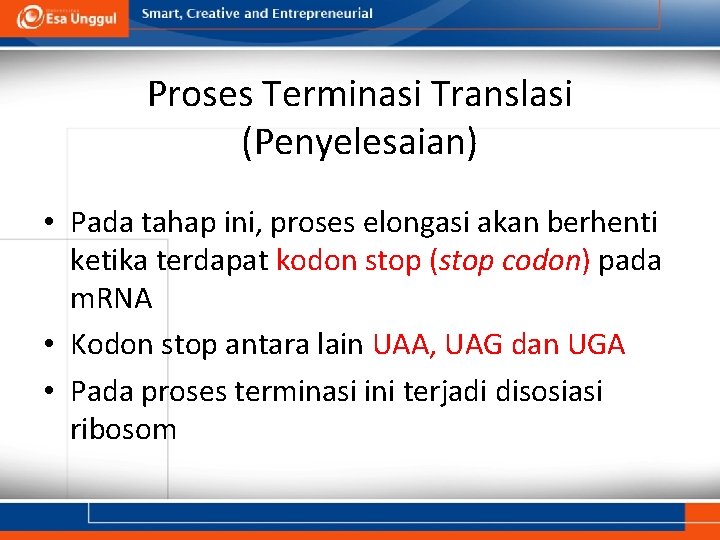 Proses Terminasi Translasi (Penyelesaian) • Pada tahap ini, proses elongasi akan berhenti ketika terdapat