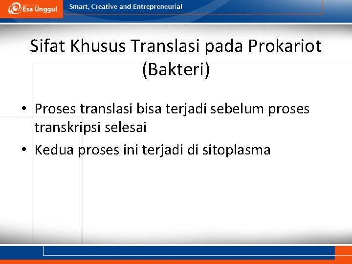 Sifat Khusus Translasi pada Prokariot (Bakteri) • Proses translasi bisa terjadi sebelum proses transkripsi