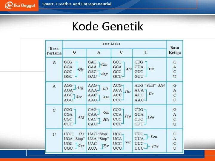 Kode Genetik 