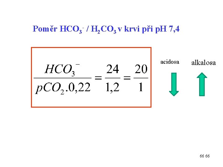 Poměr HCO 3 - / H 2 CO 3 v krvi při p. H