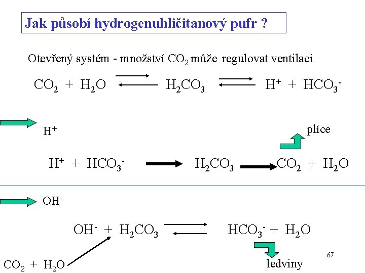 Jak působí hydrogenuhličitanový pufr ? Otevřený systém - množství CO 2 může regulovat ventilací