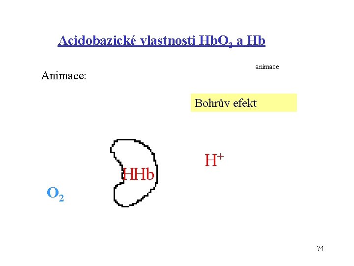 Acidobazické vlastnosti Hb. O 2 a Hb animace Animace: Bohrův efekt O 2 HHb