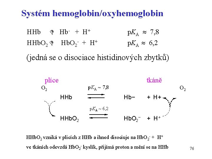 Systém hemoglobin/oxyhemoglobin Hb- + H+ HHb. O 2 Hb. O 2 - + H+