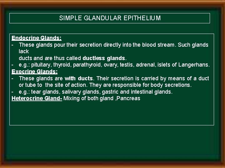SIMPLE GLANDULAR EPITHELIUM Endocrine Glands: - These glands pour their secretion directly into the