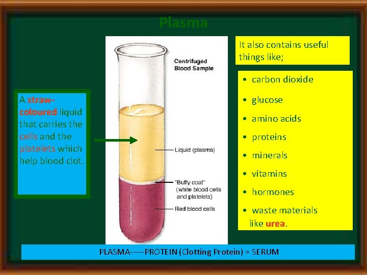 Plasma It also contains useful things like; • carbon dioxide A strawcoloured liquid that